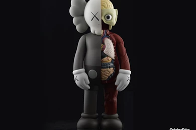 Wallpapers Kaws Focus 1600x1200