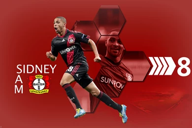 Sidney Sam Best Wallpapers   Football HD Wallpapers