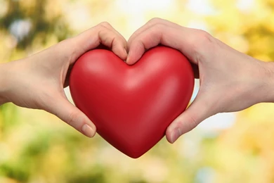 Wallpapers Dil Wolpepar .2 1600x1000