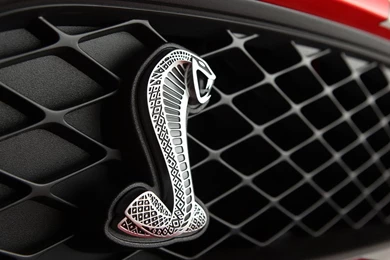 Ford Mustang Cobra Logo   Image