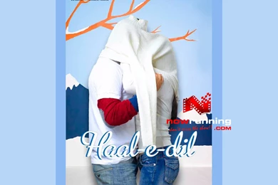 Haal E Dil Bollywood Movie Gallery, Picture   Movie Wallpaper, Photos