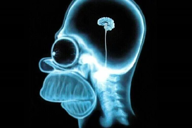 Simpsons Apple Wallpapers   Wallpapers Cave