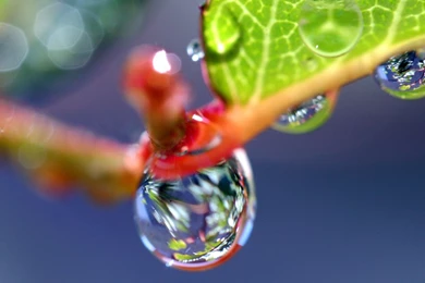 Water Drop Super Macro HD Desktop Wallpapers : High Definition ...