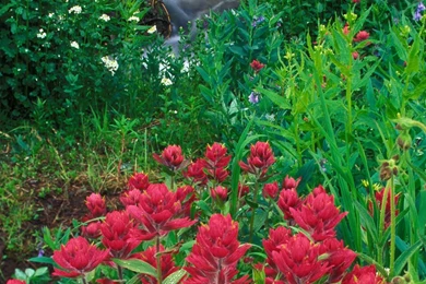 Supernatural Wallpapers Super Natural Cool Wallpapers Most ...