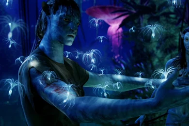 Avatar Hd Wallpapers   Wallpapers HD Fine