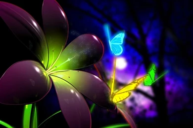 3d Wallpapers Download Collection (40+)