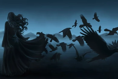 Ravens In The Dark Wallpapers » WallDevil   Best Free HD Desktop ...