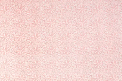 Vintage Wallpapers Pink Simple Flower Dream