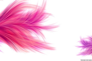 Simple Pink Backgrounds