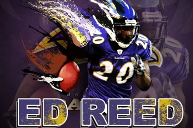 Ed Reed Wallpapers Wallpapers Cave