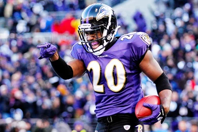 Ed Reed Images