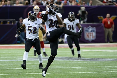 Ed Reed Wallpapers   Wallpapers Cave