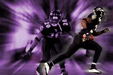 Ed Reed Wallpapers Wallpapers Cave