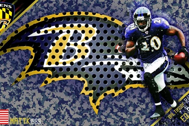Ed Reed 1600x900 Wallpapers