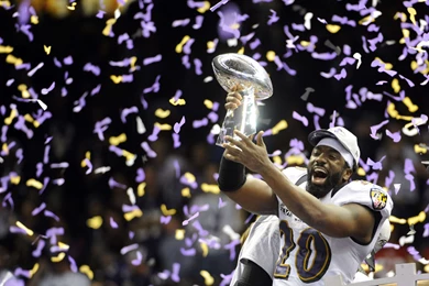 Ed Reed Wallpapers Wallpapers Cave
