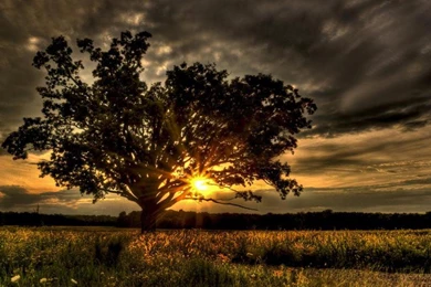 Beauty For Ashes… And The Advent Of Christ