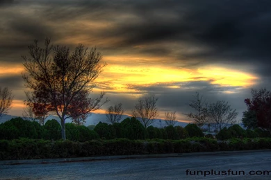 Vista Backgrounds Wallpapers   281324