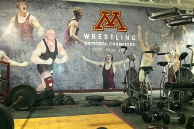 GOPHERSPORTS.COM :: BLOG :: University Of Minnesota Official ...