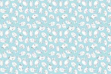 Blue Cats Rolling Around Ask.fm Backgrounds