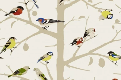 Sarah's House Powder Room {Bird Wallpapers Source}   The Inspired Room