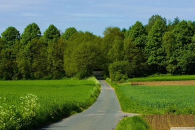 Australian Nature Hd Wallpapers 1920x1080 Nature Landscape ...