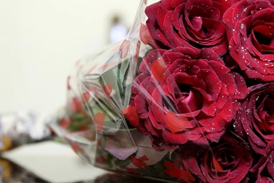 Cute Bouquet Roses Romantic Red Rose Wallpapers And Backgrounds ...