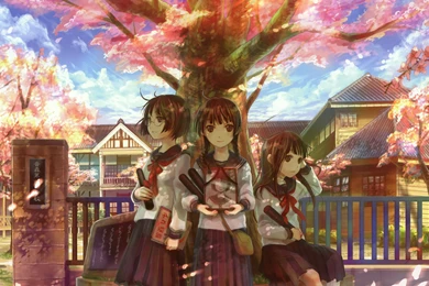 23894 schoolgirls under the cherry tree 2560x1440 anime wallpaper.jpg
