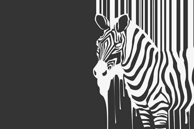Zebra Barcode Tablet Phone Wallpaper Backgrounds   Album Art For ...