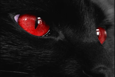 Black Epreet: Black Wallpapers HD