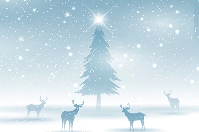 Winter_Christmas_Background.jpg?m=1447888728