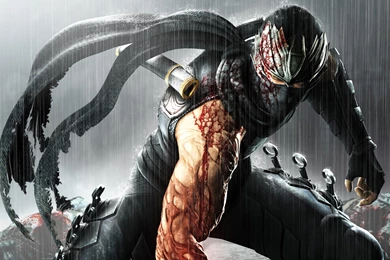 Ninja Gaiden 3 Game Wallpapers   2560x1600   2012401