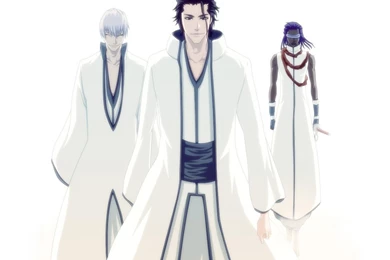Bleach Aizen Back In White Hd Wallpapers   (
