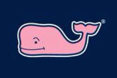 Vineyard Vines Whales Swatch