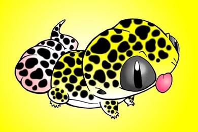 PETISM: My Leopard Gecko By Gangc On DeviantArt