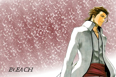 Bleach Anime Wallpapers
