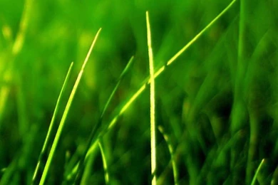 Nature LG G3 Wallpapers HD