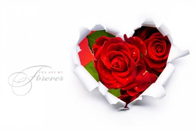Valentines Day 2015 Heart Roses Greetings Wallpapers