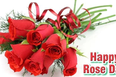 7 Feb Happy Rose Day 2014 Greetings Wallpapers