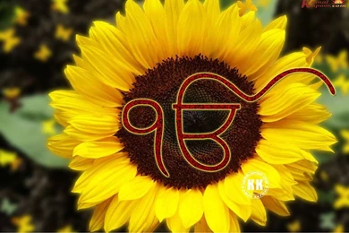 3D Sikh Wallpapers   Wallpapers Zone