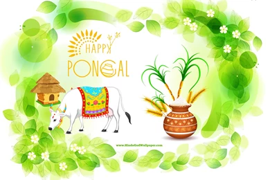 Pongal Greetings Wallpapers With Wishes Quotes
