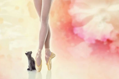 Ballet 3 Wallpapers