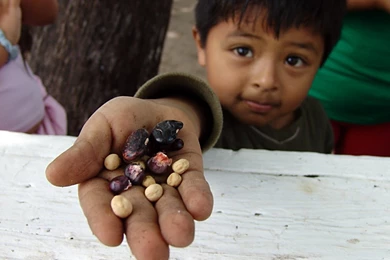 Welcome To The Blog 'hdegitimphoto7'   Bloguez.com