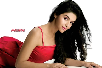 Bollywood Actress Asin All Latest HD Wallpapers 2012