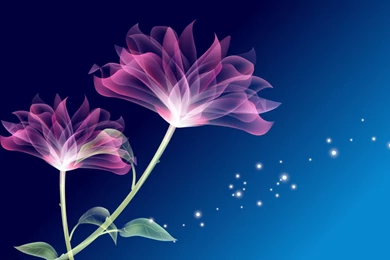 Glowing Purple Flowers Wallpapers