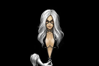 50 Black Cat HD Wallpapers