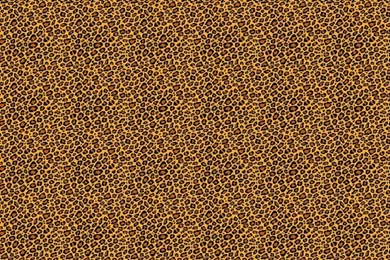 2012年04月01日 : Ganjのブログ