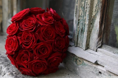 Red Roses Wedding Bouquet HD Desktop Wallpapers : High Definition ...