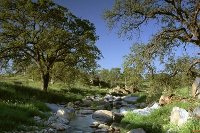 Incredible Nature Amazing Hd Wallpapers 8