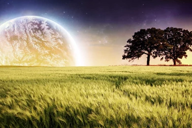 Nature Desktop Wallpapers, Nature Wallpaper, HD, Widescreen ...