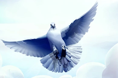 Digital Dove Wallpapers 8788 1920x1200   UMad.com